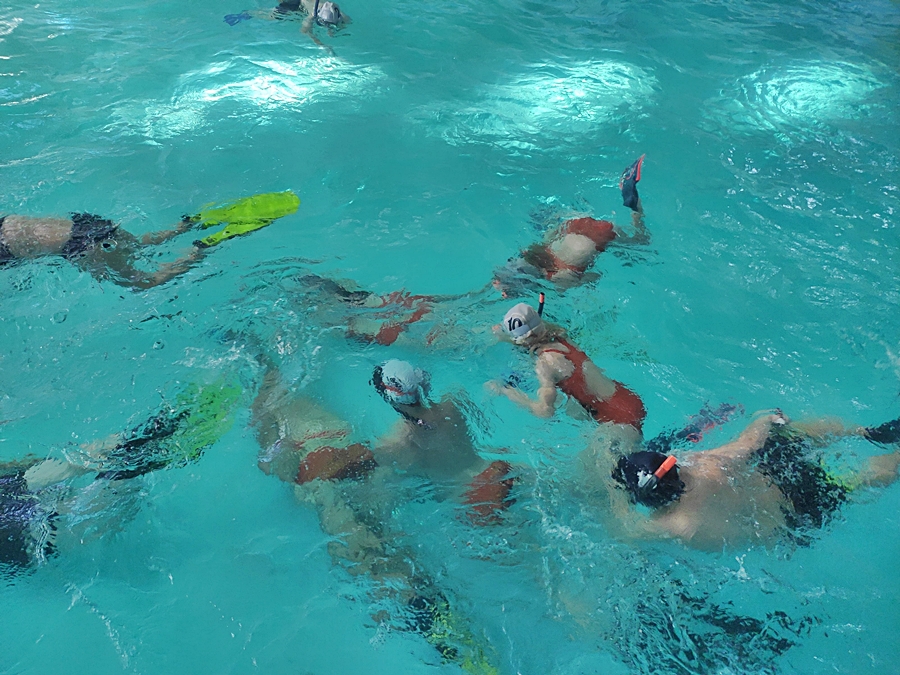 Hokej pod wodą Walenie Siemianowice Śląskie Trening 14 X 2023